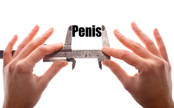 penis jest uważany za mały